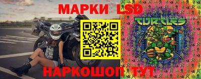 шишки Гатчина