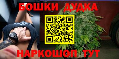 шишки Гатчина