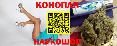 шишки Гатчина
